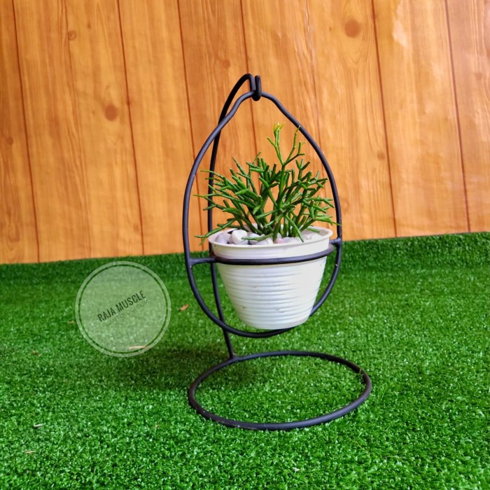 Rak - Standing Planter Tweety Rak Pot Bunga Kaktus Sukulen Tanaman