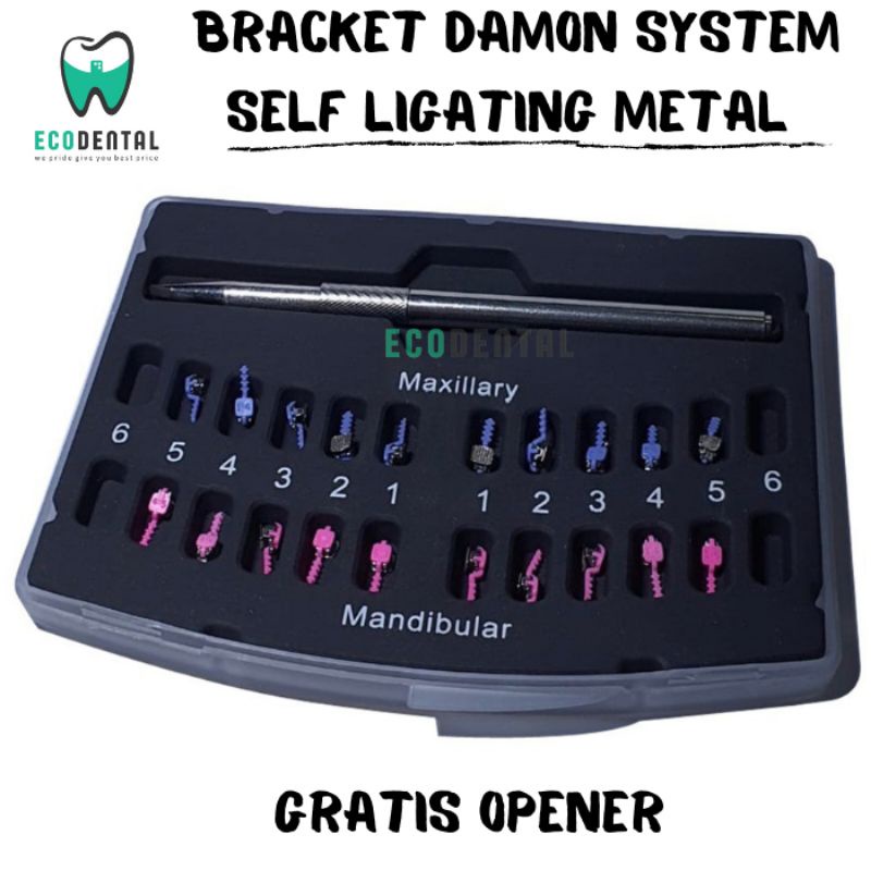 Behel Damon Bracket Damon System Self Ligating Behel Damond