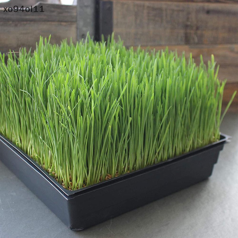 Xo Nampan Tanam Plastik Seedling Starter s Pembibitan Pembibitan Tanaman OL