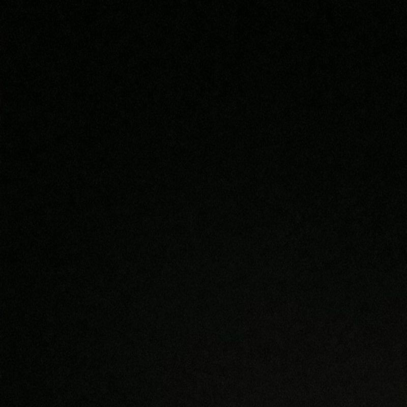 Philodendron Birkin / Philo Birkin - Bakul kembang