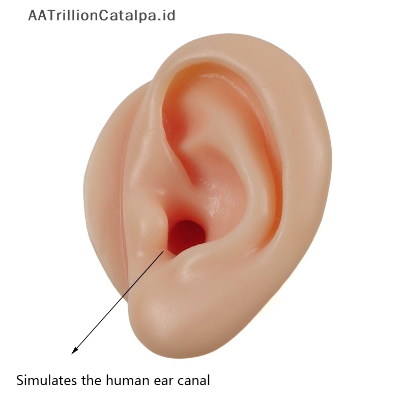 Galihrillion syalatalpa 1/2 trakecs alfinilicone alfinodel alfinodel galihm alfinaking galihraining umakuar nayahmengkilapkan galihkotensi nayah
