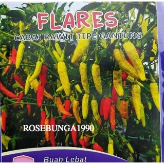 isi 10 Biji Benih Lebih Tahan Virus New Cabe Rawit Flares yg Lagi Viral Cap Candi  -Kemasan REPACK f
