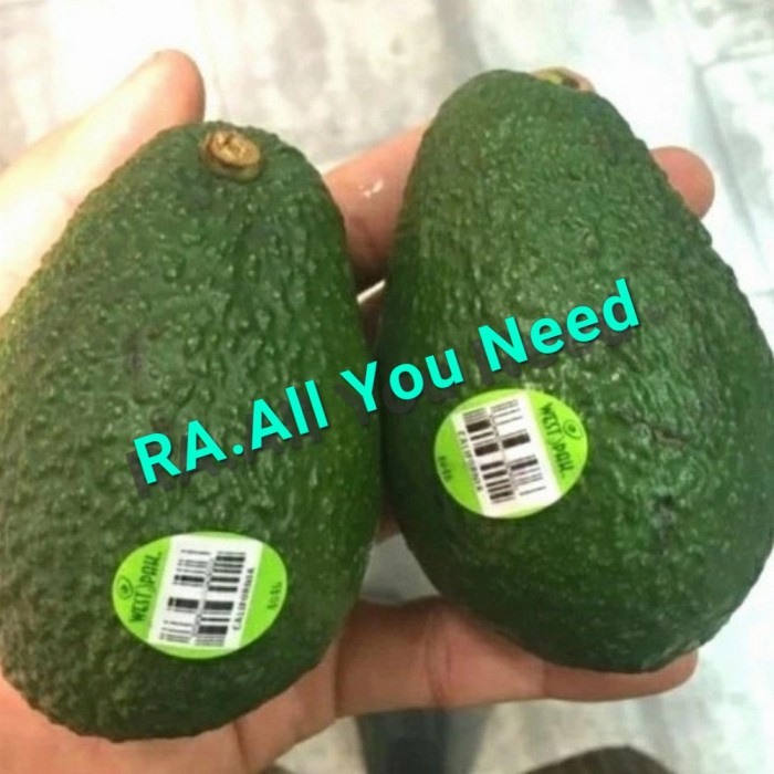 

Alpukat import/Avocado baby California USA 1 kg