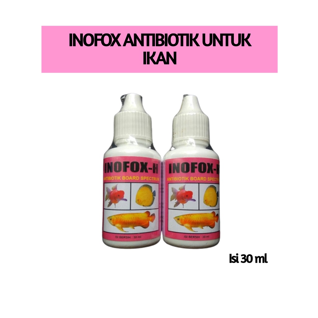 Obat Ikan Antibiotik Penghilang Luka Cupang Mas Koki Arwana Inofox H