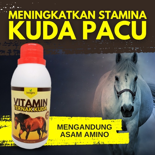 Vitamin Untuk Kuda Pacu / Vitamin Kuda Pacu / Vitamin Penggemuk Kuda / Vitamin Untuk Kuda Ternak ( R