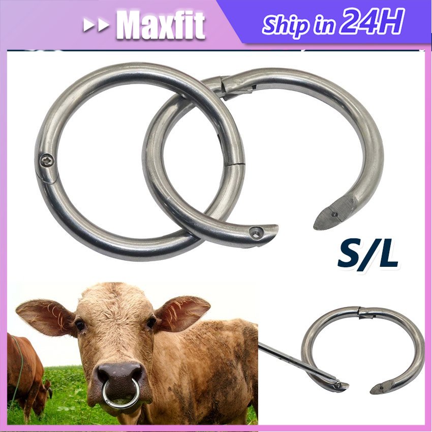 Stainless Steel Ring Cincin Hidung Sapi Bull Ring Cincin Anting Hidung Sapi