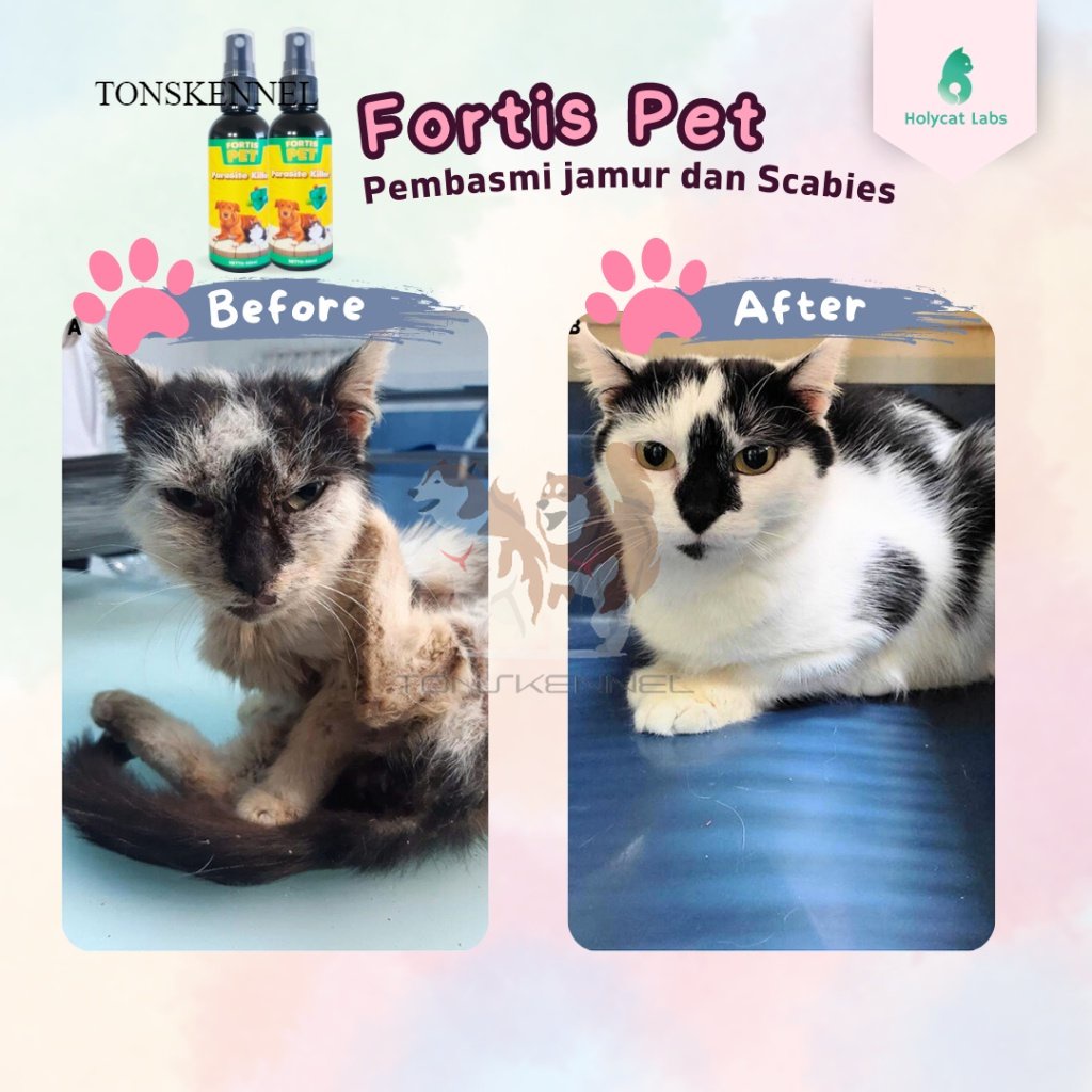 Obat Jamur Scabies Demodex Kudis Koreng Gatal pada Kucing Anjing Parasit Killer Fortis Spray 60 ML