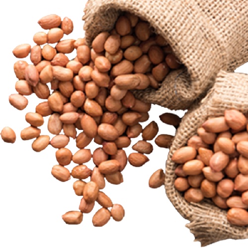 

Kacang Tanah Mentah Segar 1kg