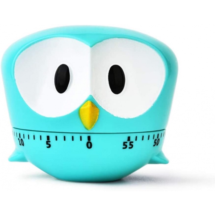 B05 OWL Mechanical Timers Rotate 60 Minutes - Reminder Penghitung Waktu