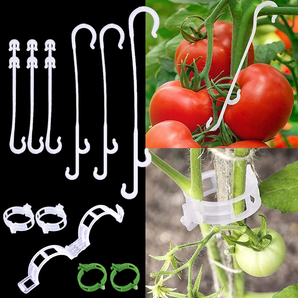 [Harga Grosir] Tomat Penyangga J-Shape Hooks Tahan Lama Klip Pengikat Tanaman Teralis Klip Sayuran Buah Anggur Anti Rontok Alat Untuk Strawberry Anggur Anggur Kebun Gadget Pertanian