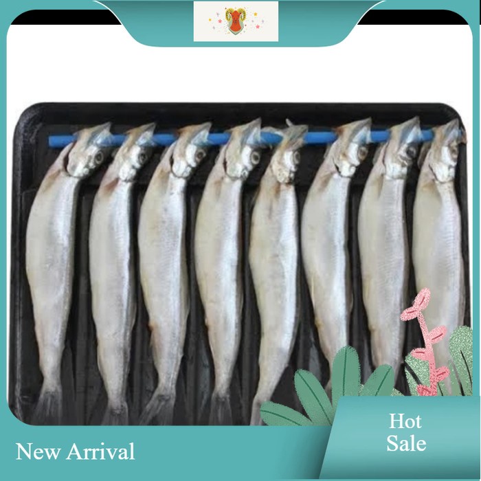 

Ikan Shisamo / Capelin Fish 170gr