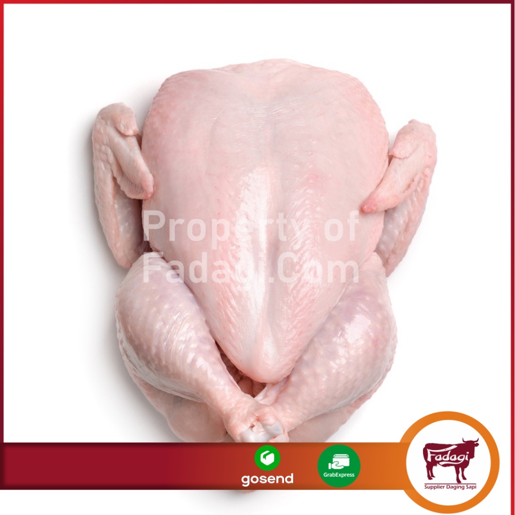 

AYAM KARKAS UTUH 700 GR
