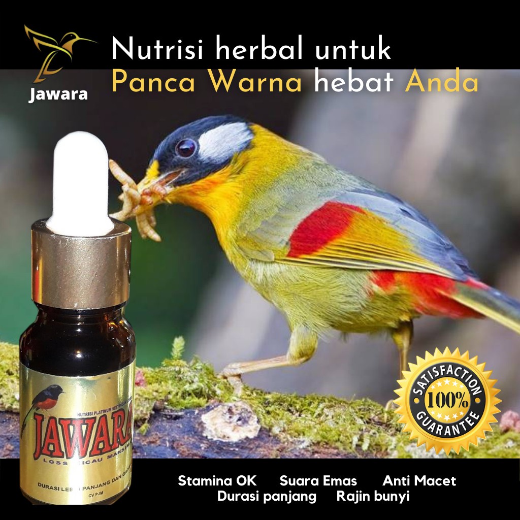 Vitamin Burung, Suplemen, Nutrisi Herbal, Enzim Setingan Lomba Kicau Burung Panca Warna