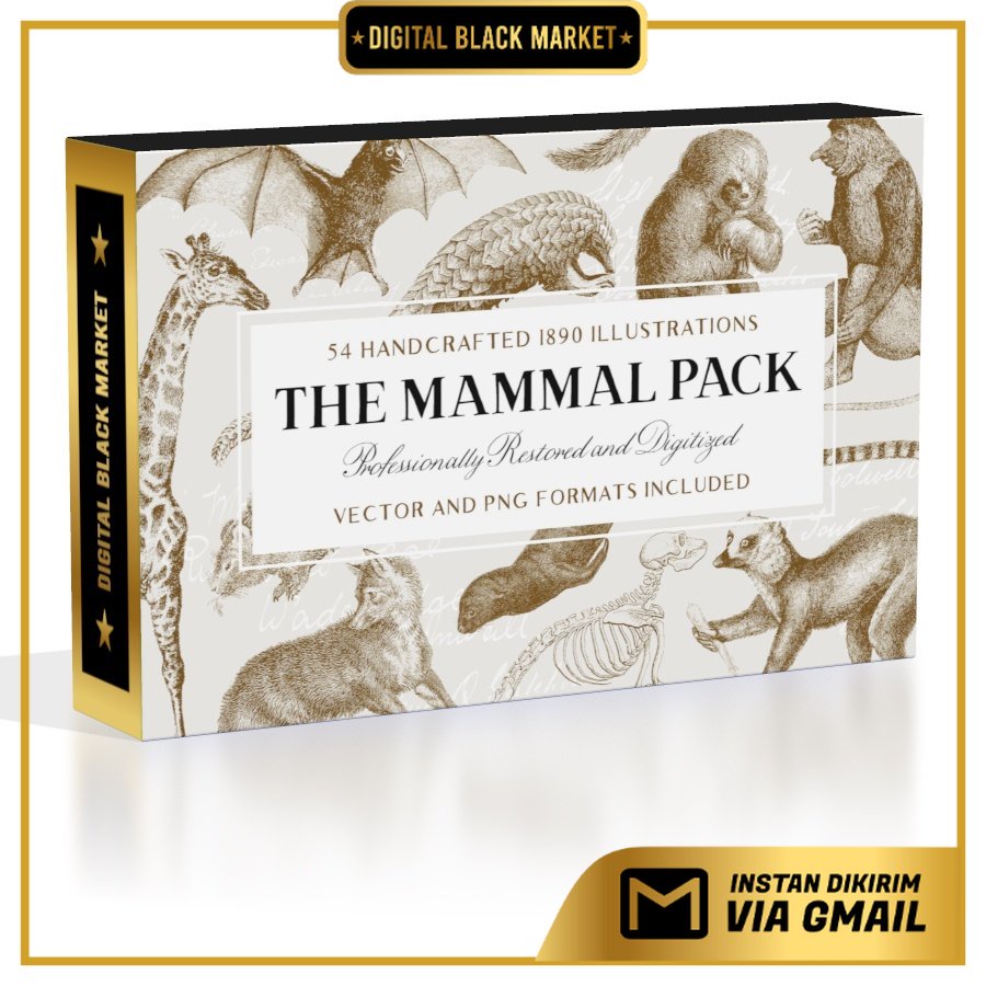 Handcrafted Mammals Illustrations Collection