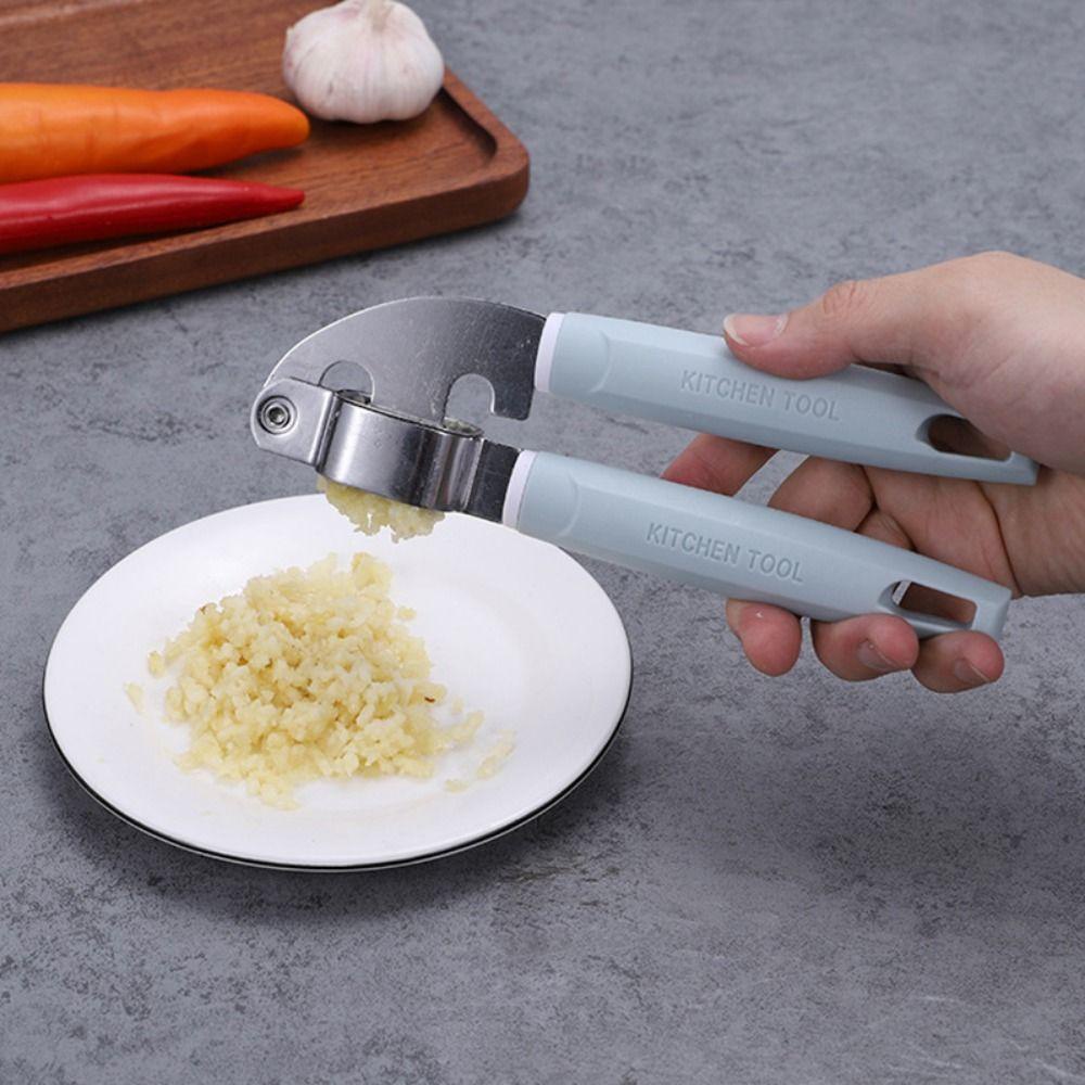 Populer Penghancur Bawang Putih Jahe Alat Dapur Manual Mincer