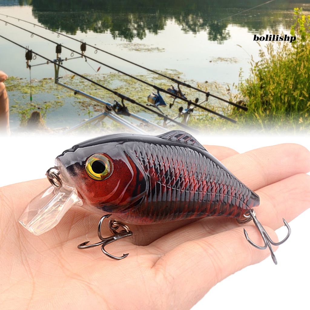 Bo-7.8cm/15.5g Umpan Pancing 3D Simulasi Fisheye Tajam Kait Realistis Angling Plastik Bola Baja Besar Umpan Buatan Memancing Luar Ruangan