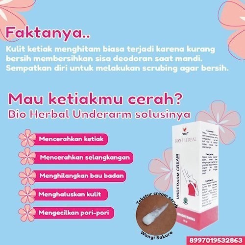 BIO HERBAL UNDERARM CREAM BRIGHTENING 50GR - BIOHERBAL KETIAK