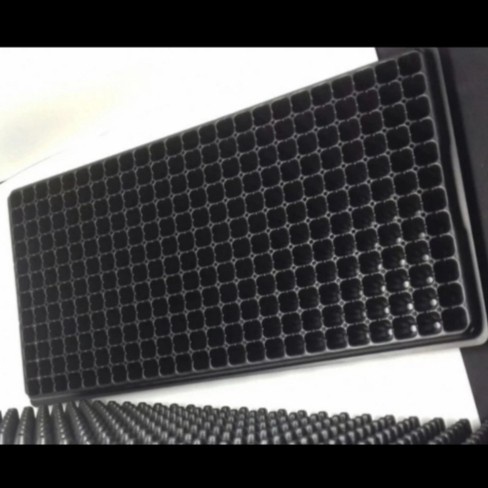 Tray seeding / Tray semai / Media tanam