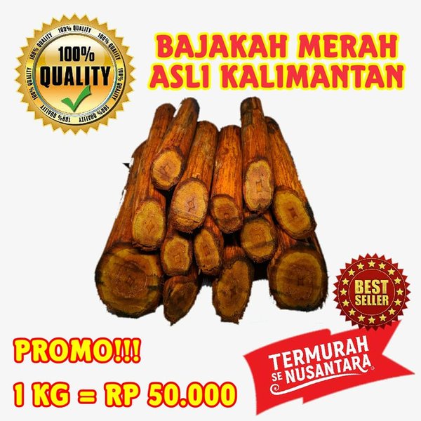 

kayu bajakah kalimantan murah 1 kg TERLARIS