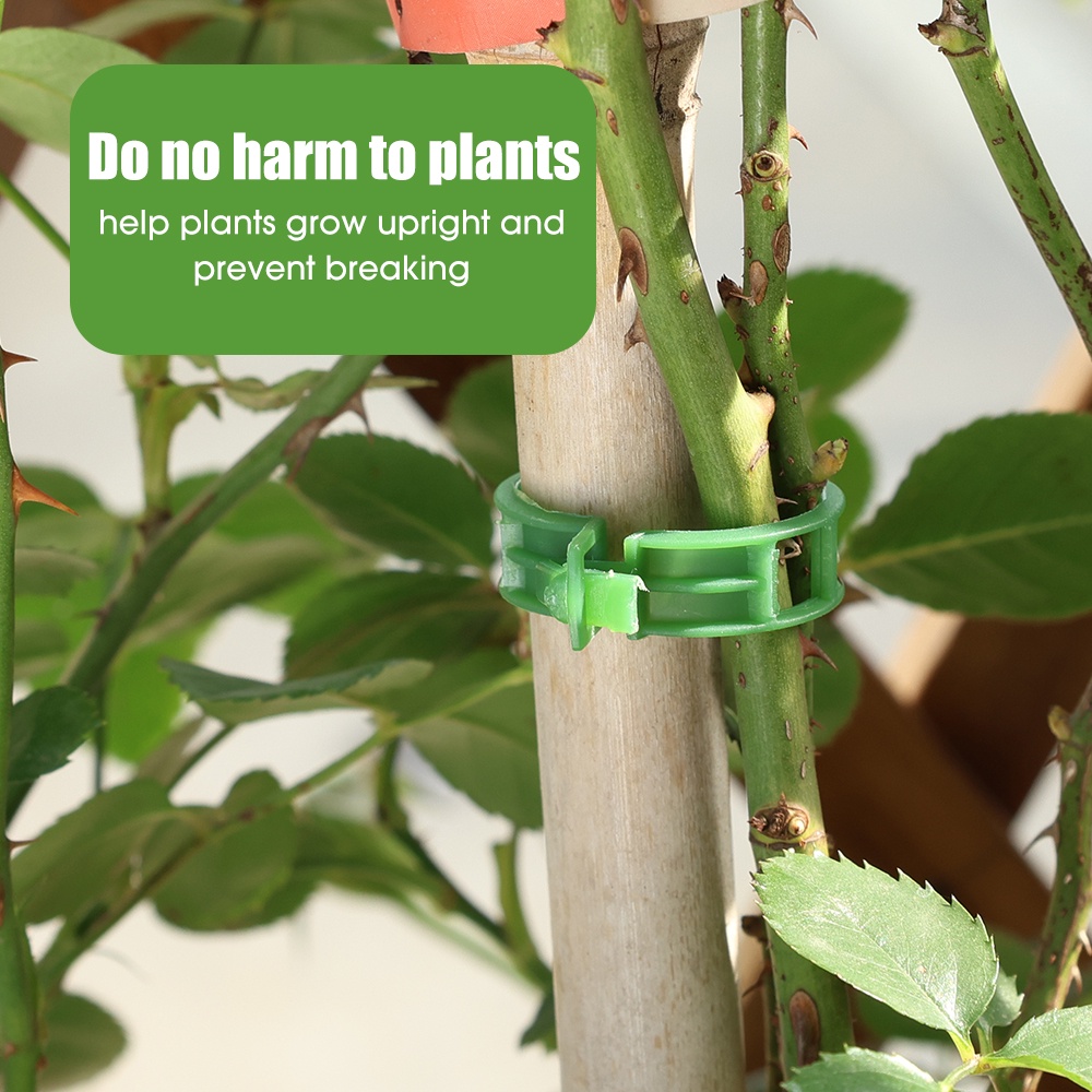 50 /100Pcs Plant Clip Buckle Self-Adhesive Fixed Hook/Penyangga Plastik Sambung Reusable Holder/Berkebun Untuk Sayuran Tomat/Penyangga Tanaman Klip Dasi Teralis Stake Tools