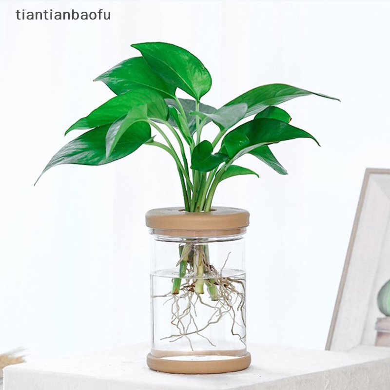 [tiantianbaofu] Pot Tanaman Plastik Vas Plang Air Plastik Transparan Stylish Container Butik