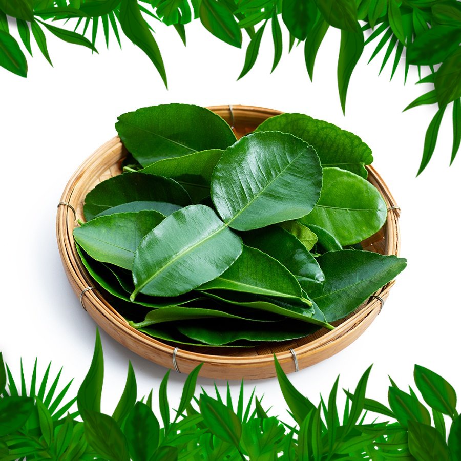 

SAYURAN FRESH NUSANTARA - Daun Jeruk 50 gr