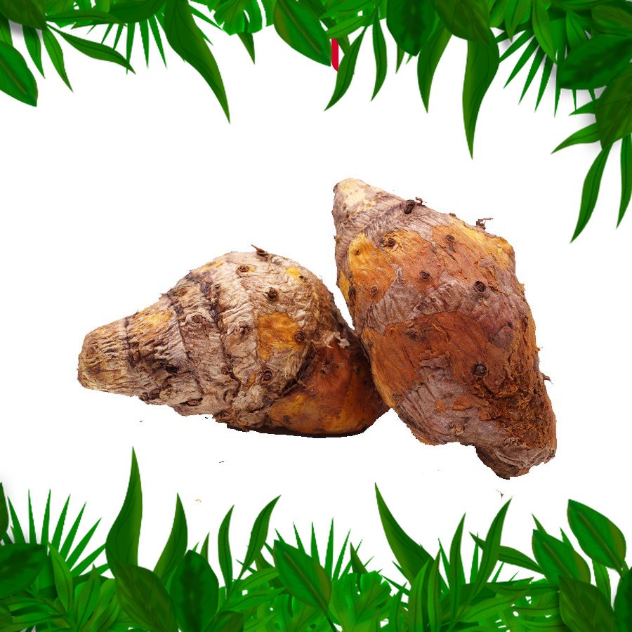 

Sayur Fresh Nusantara Temulawak 250 gr