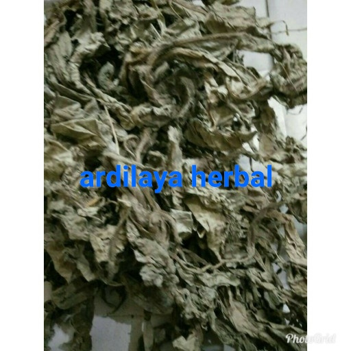 

daun tapak liman kering 250 gram ASLI 100%