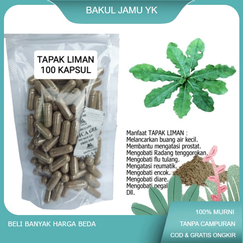 

Tapak LIMAN isi 100 kapsul untuk pegel linu encok