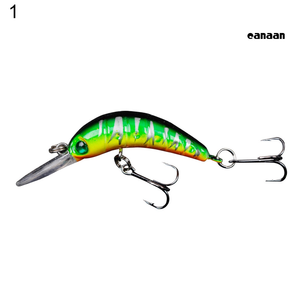 Cnn-5cm Umpan Ikan Lidah Panjang Buatan Multi Kolololr Manusia Hidup Outdoor Fishing Lure