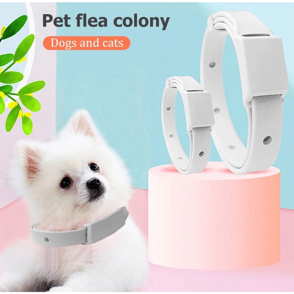 KALUNG ANJING KUCING ANTI KUTU / PET FLEA REMOVER COLLAR