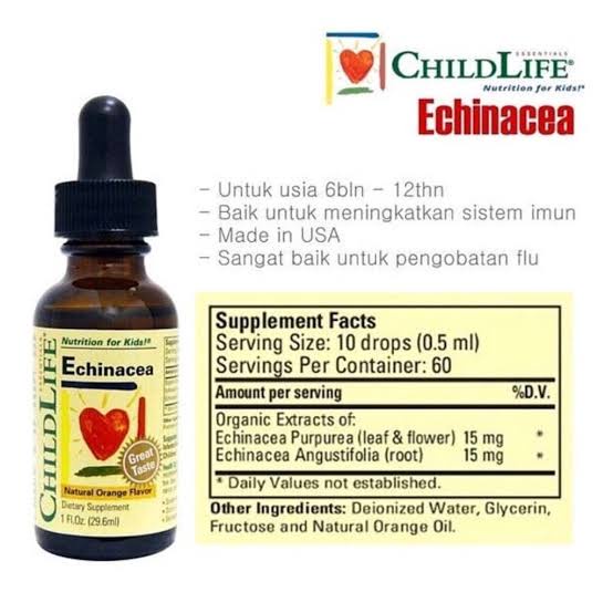 Child Life Echinacea