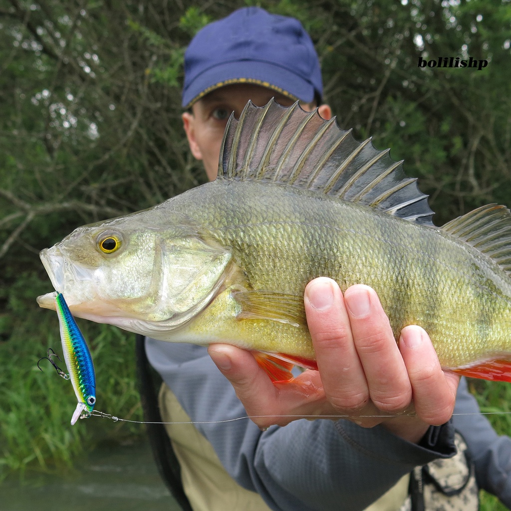 Bo-8.8cm Umpan Bionik 3D Simulasi Fisheyes Treble Hook Menggoda Realistis Mengambang Ikan Kecil Umpan Palsu Memancing Luar Ruangan