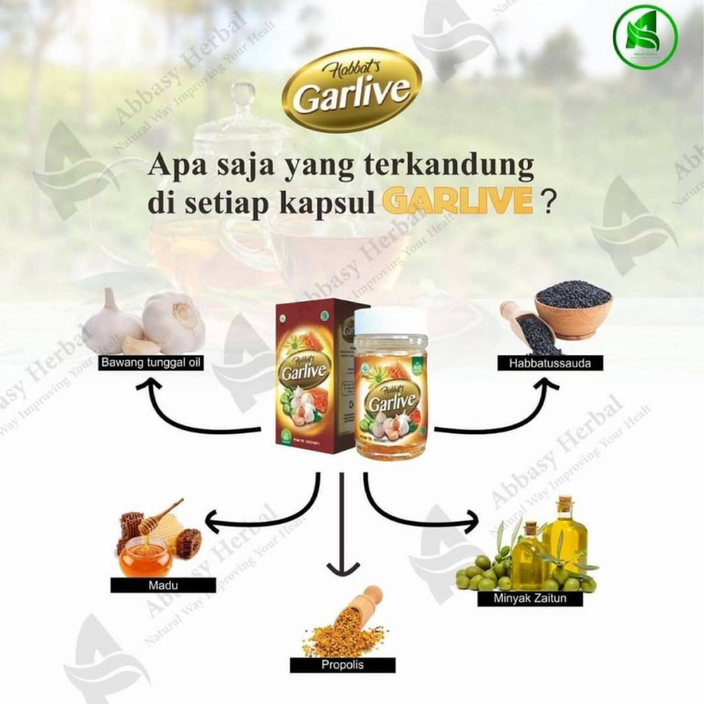 AKHI.ID -  Habbatussauda Habbatusauda Habbats Garlive Garlic Murah Grosir Isi 200 Kapsul