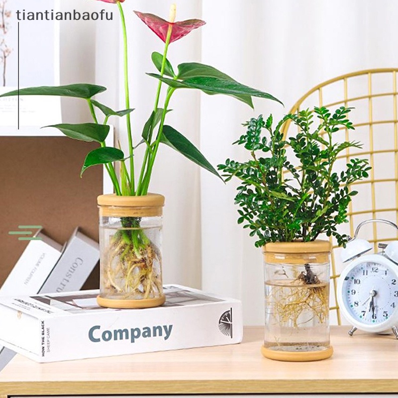 [tiantianbaofu] Pot Tanaman Plastik Vas Plang Air Plastik Transparan Stylish Container Butik