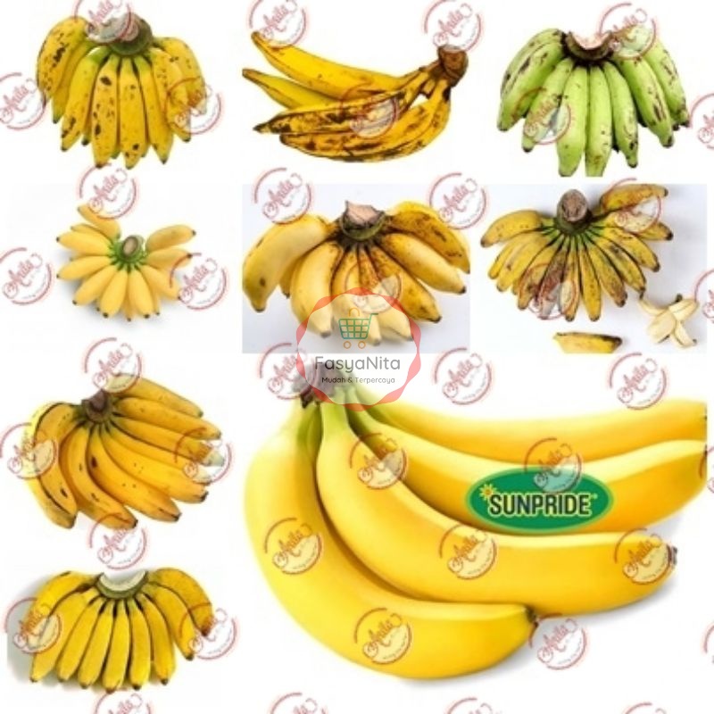 Pisang | Sunpride Kepok Gepok Tanduk Susu Ambon Raja Mas Uli Nangka Buah Fresh