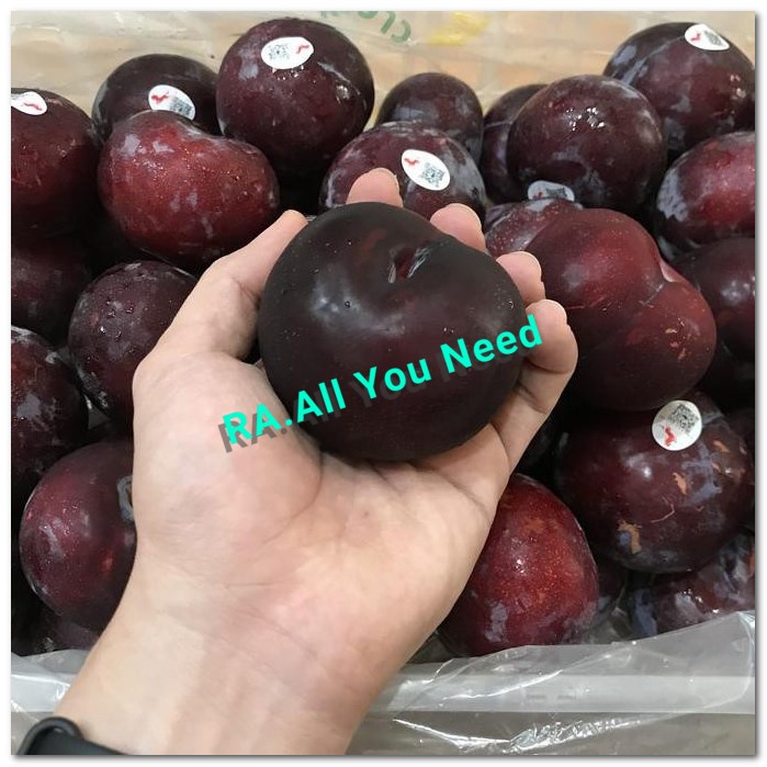 

BUAH PLUM IMPORT AUSTRALIA FRESH 1 KG
