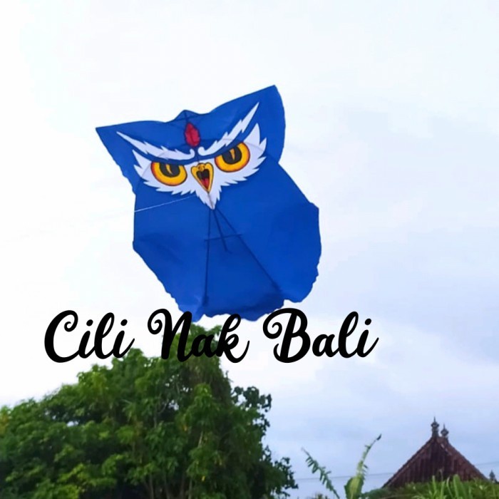 Layangan Celepuk Layangan Bali Layangan Murah Mainan Anak 1m Cutting