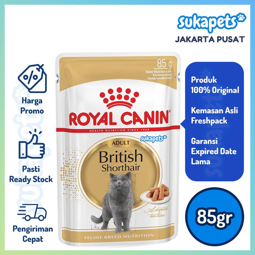 Royal Canin Adult British Shorthair Makanan Kucing Dewasa Wet 85gr
