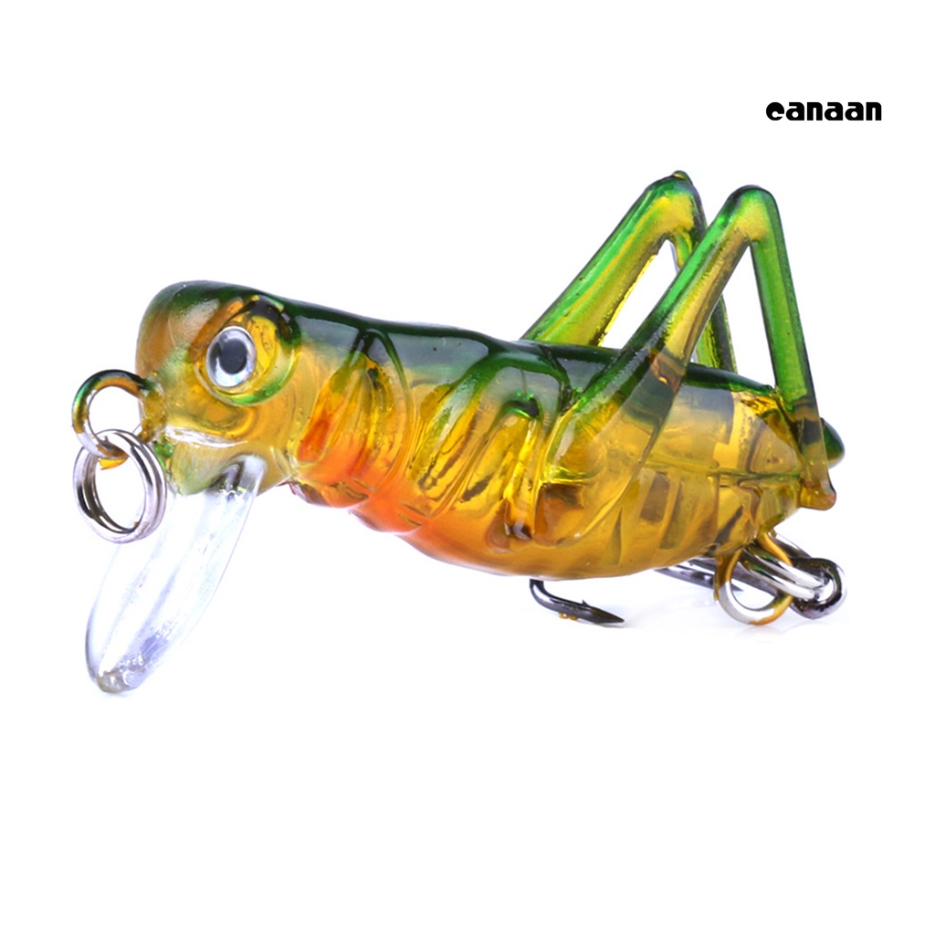 Cnn-simulasi Belalang Locust Bentuk Serangga Umpan Pancing Buatan Tackle