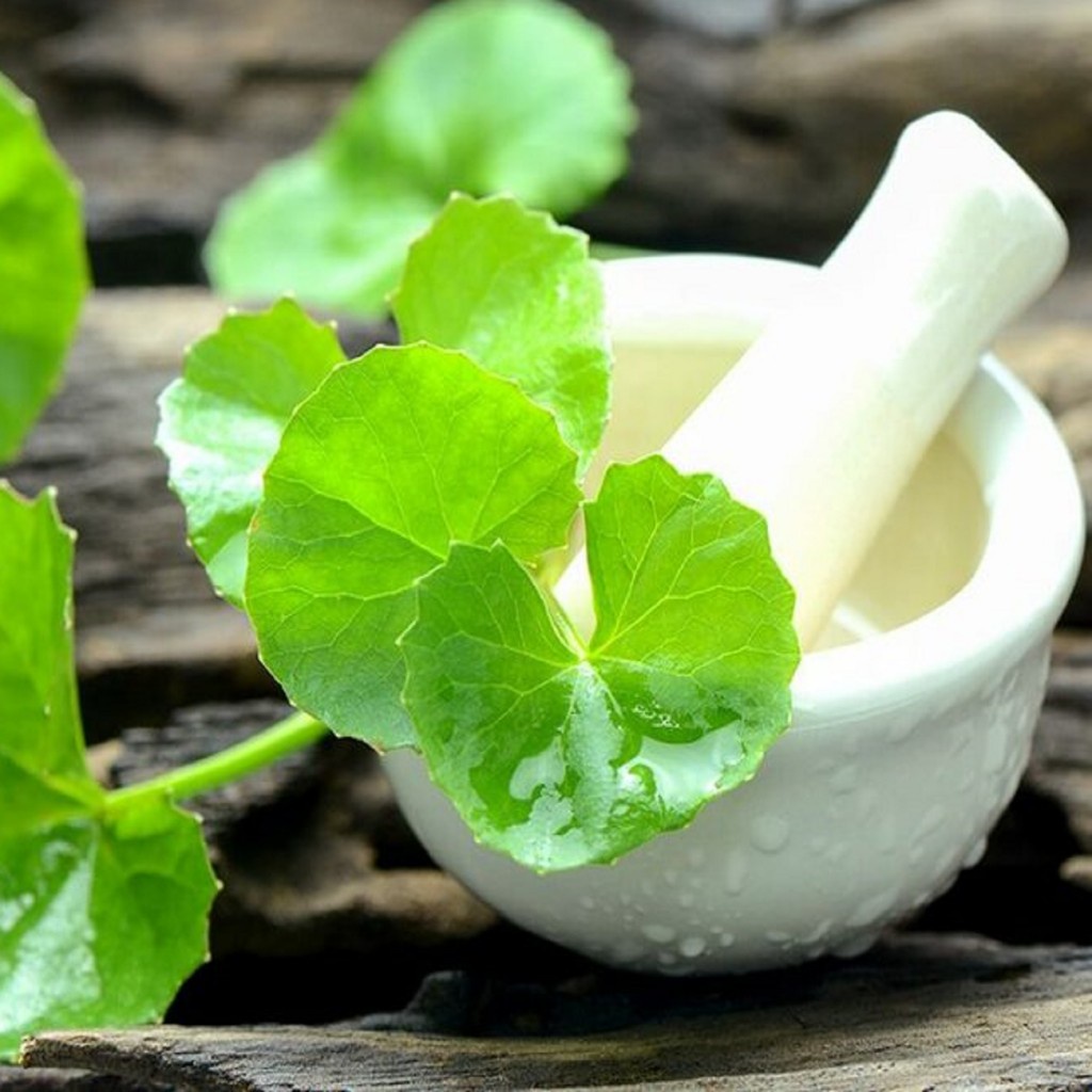 

Daun Pegagan Kering Rempah Jamu Herbal Tradisional Kesehatan Kulit