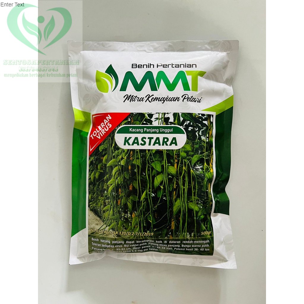 Benih Kacang Panjang KASTARA isi 500 gram dari MMT M