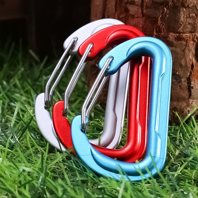 6warna Carabiner Gunung Paduan Aluminium Profesional Tipe D/Ketahanan Aus Luar Ruangan Hiking Buckle Hook