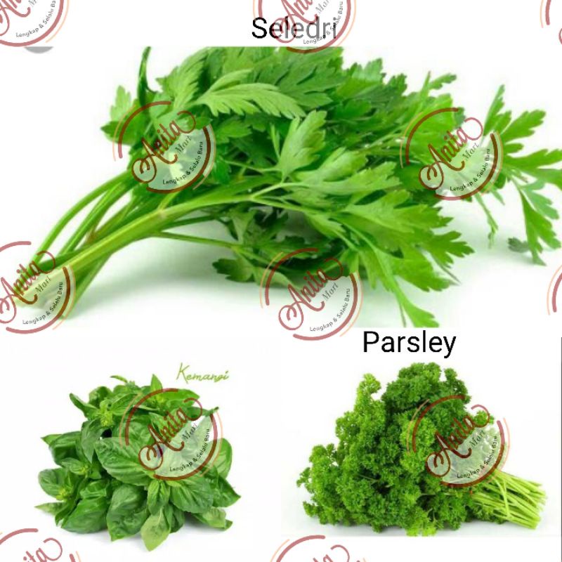 

Daun Kemangi Seledri Parsley Fresh Segar
