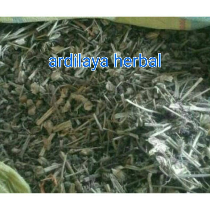 

daun ciplukan kering 500 gr 100% ASLI