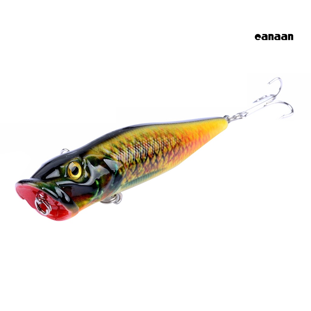 Cnn-1 Pc Memancing Umpan Tackle Topwater Mirip Hidup Mengapung Popper Kait Tajam Umpan Keras