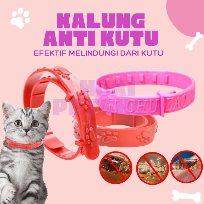 [BISA COD] KALUNG ANTI KUTU UNTUK KUCING PEMBASMI CAT FLEA | KALUNG KUCING ANTI KUTU PINJAL KALUNG ANJING ANTI KUTU ANTI ULAT AKSESORIS KALUNG UNTUK HEWAN PELIHARAAN KALUNG KUCING ANTI KUTU DAN JAMUR LONCENG HILANG ORI MALING AIR LEPAS NAMA