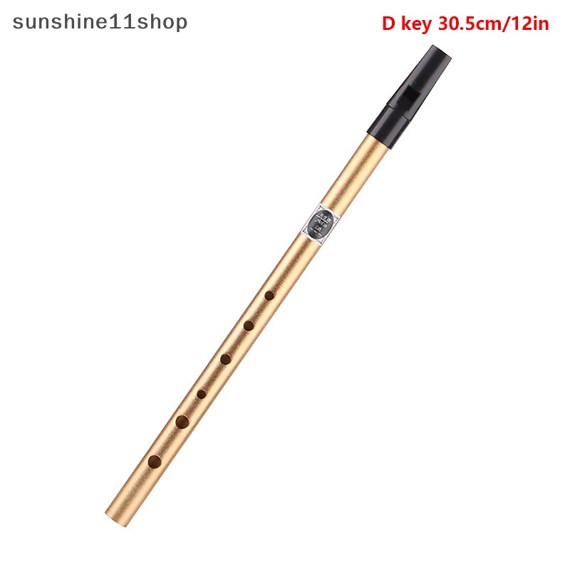 Sho 1Pc 6lubang Suling C/D Kunci Irish Whistle Ireland Tin Penny Whistle Metal Flute N