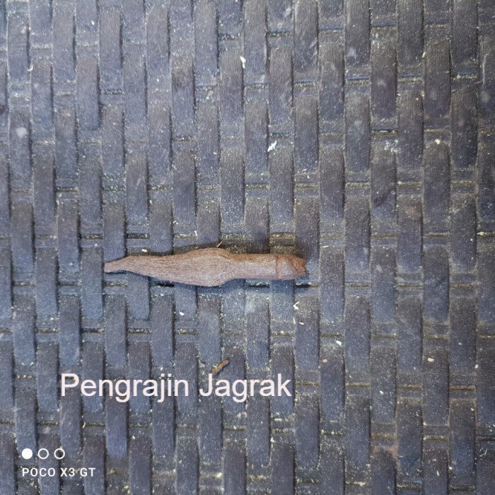 pusaka sepuh banyak angrem pamor singkir Mumpung Promo PJ7645