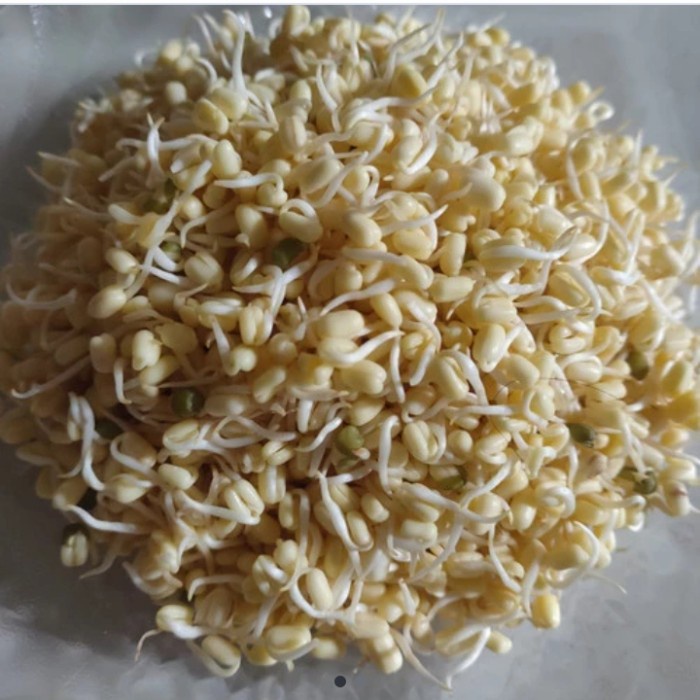 

Toge pendek/toge rawon/kecambah 250 gr - 1/4 kg